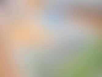 house portrait painting