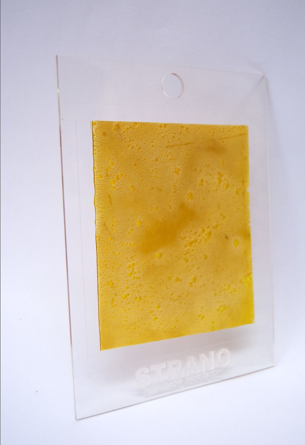 Miniatura: Foam Texture