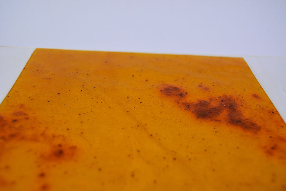 Miniatura: Orange Texture