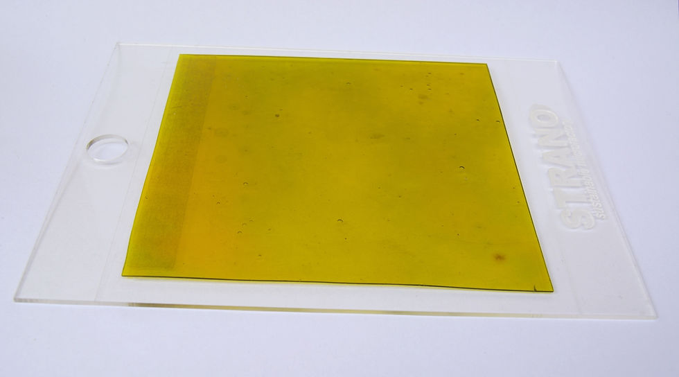 Miniatura: Regular Bioplastic