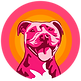 OMD_ICON_FullColor.png