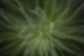 Tenerife 062017_055 - web.jpg