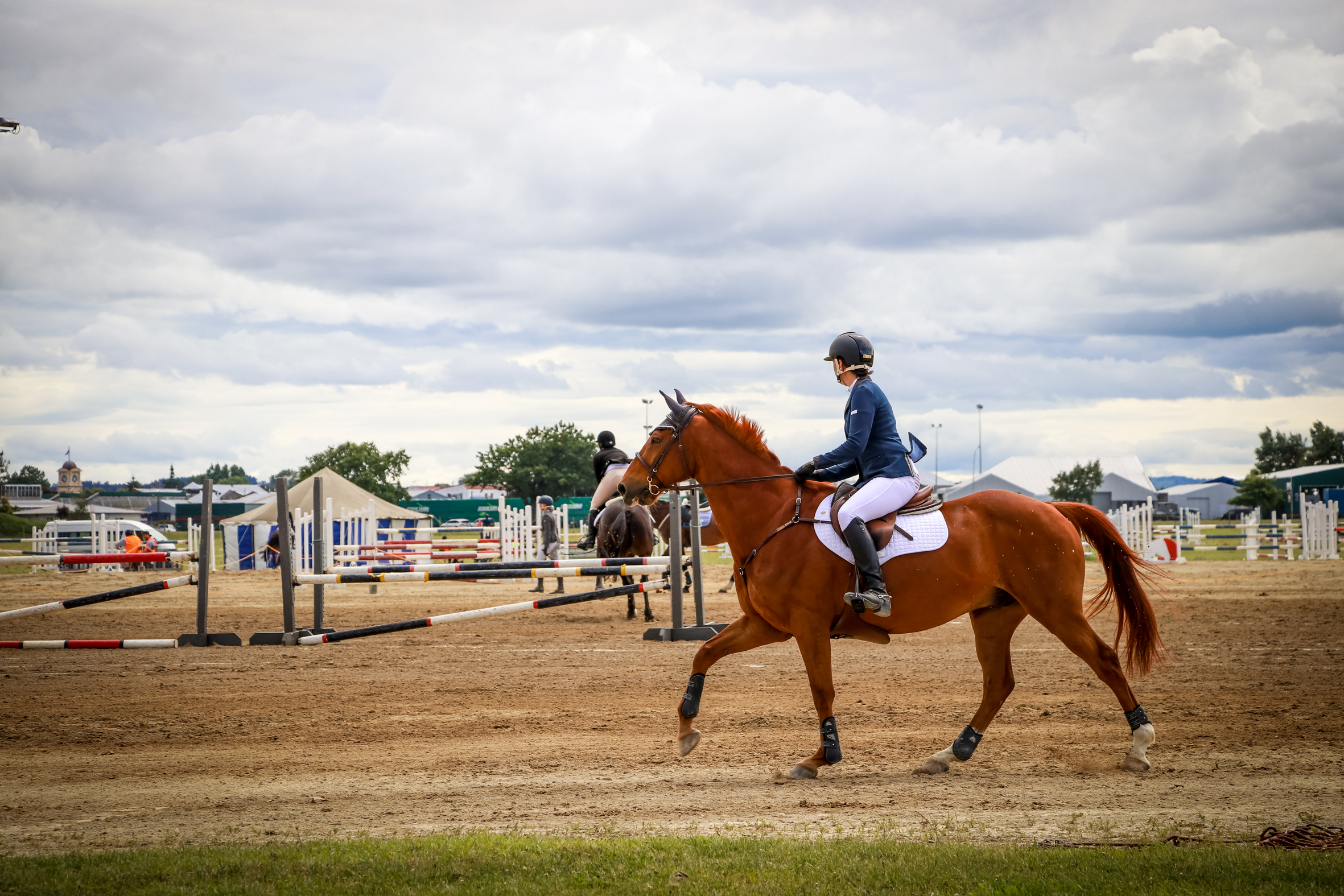 Rider on a chestnut horse trotting in outdoor show jumping arena.