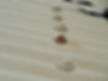 Damaged corrugated iron roof with rust