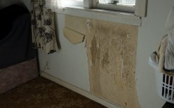 Water-damaged wall; possible mold growth; NZ House Surveys