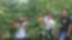 Group of smiling individuals holding plants ready for planting in a forest.