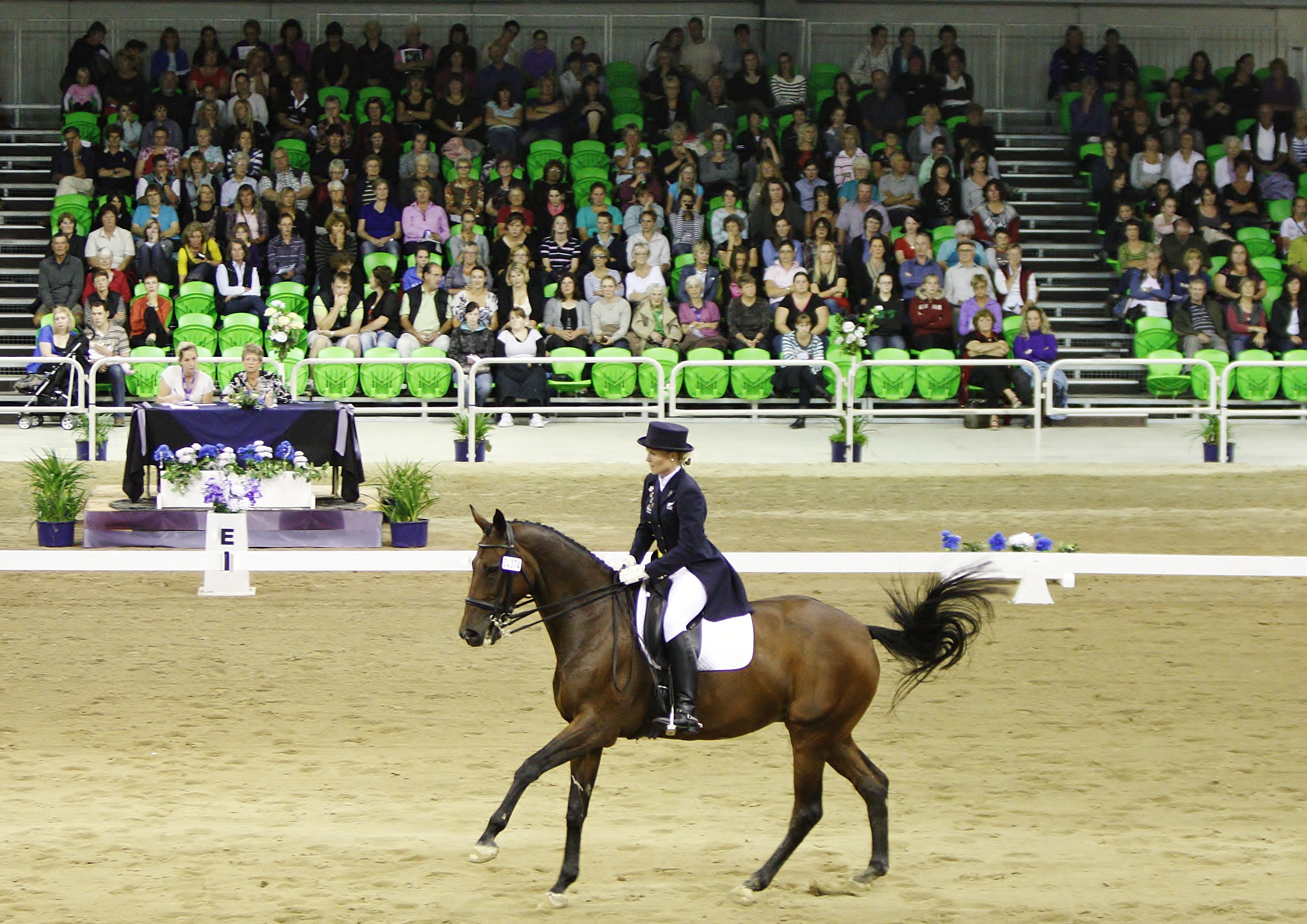 Equestrian rider on horse performing dressage in arena with spectators.