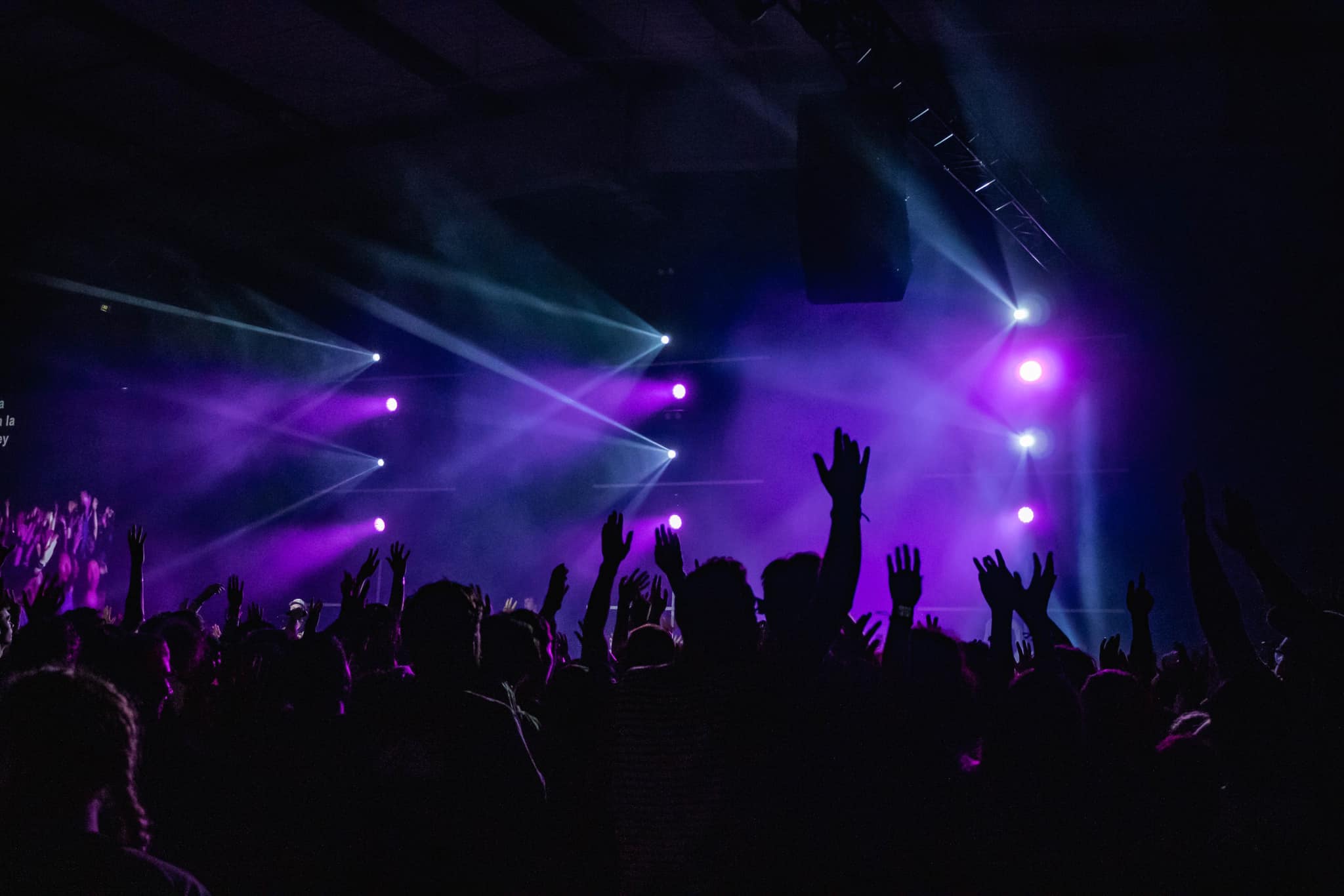 Audience with raised hands enjoying purple and white stage lights at concert.