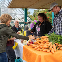 Outdoor Huts at the Farm and Market Clarenville, farmers market