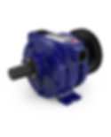 Bomba de Vácuo BVT300 GMZ