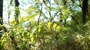 《4/30開催 学びの会》「頑張りすぎてしまう人の脱力法 〜力を抜くほど、人生は整いはじめる〜」
