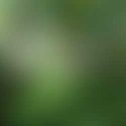 8/18 〈精神と瘉しの閒〉～自然体とは～