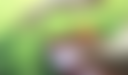 《モニターさま募集》セントジャーメインハープセッション