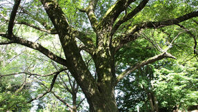 《イベントレポート》〈第9回 精神と瘉しの閒〉自然体に還る呼吸の智慧