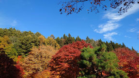 紅葉狩り〜長野県岡谷市 出早公園