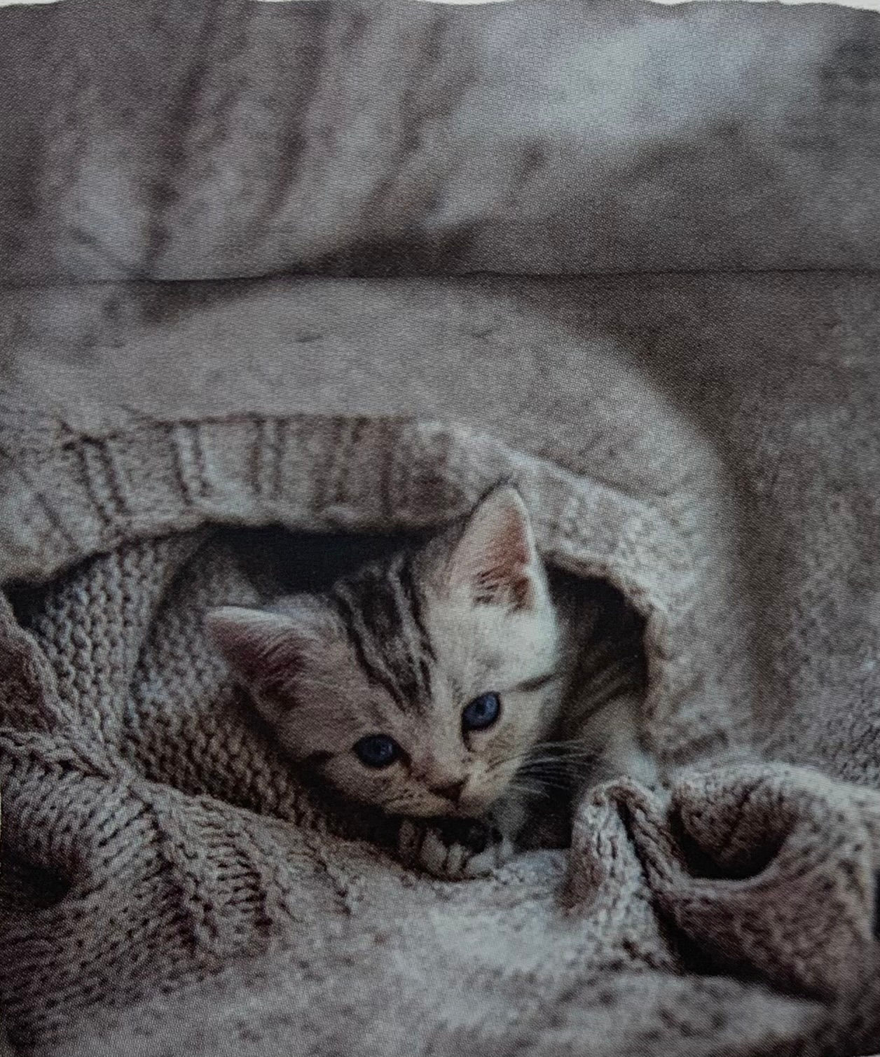 Trapunta - Wool Cat -Bassetti, gattini