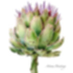Artichoke