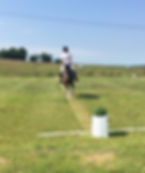 chelwood equestrian