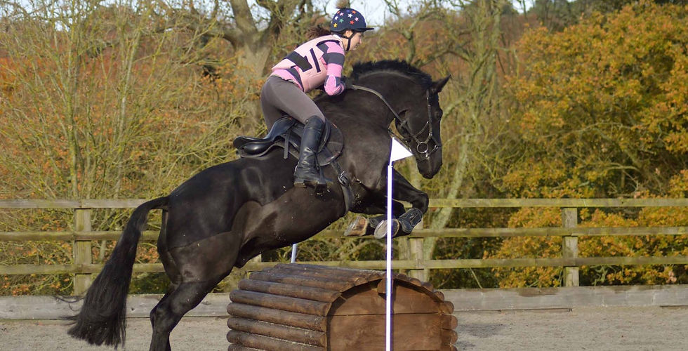 chelwood equestrian