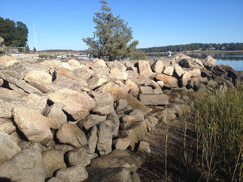 GALLERY charonassociates