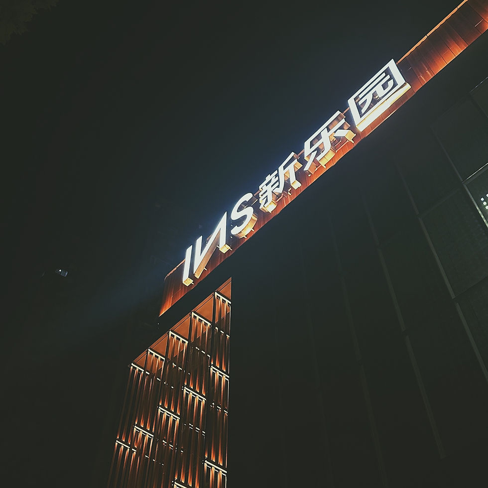 INS Park, Shanghai (INS pour "Into nothing serious...").