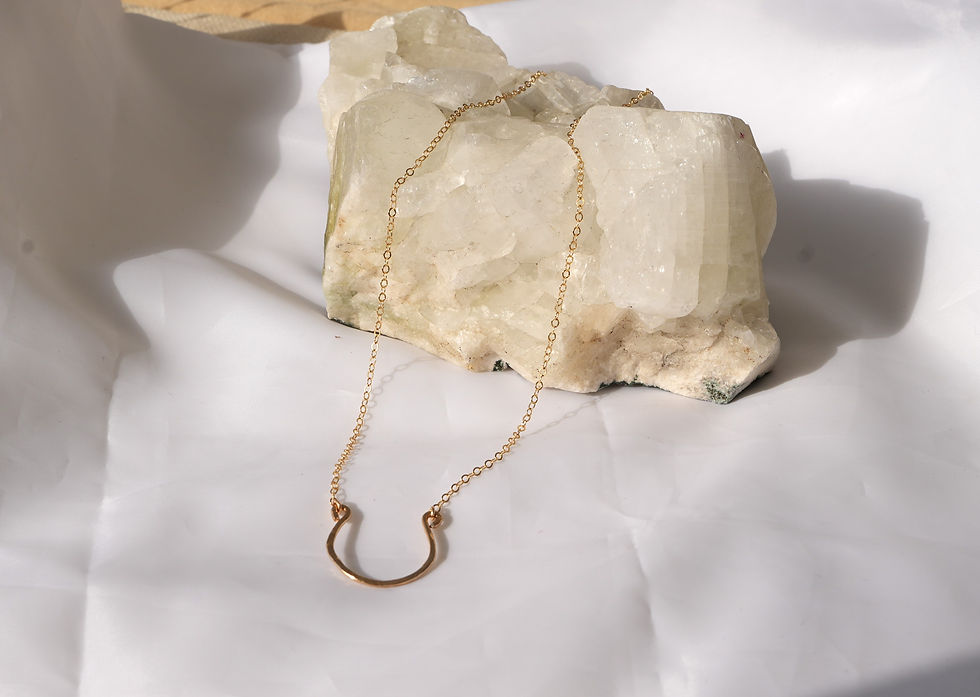 Thumbnail: Horse Shoe 14K Gold-Filled Necklace