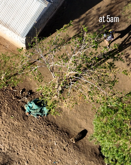 Screenshot 2025-02-06 at 14.23.46.png