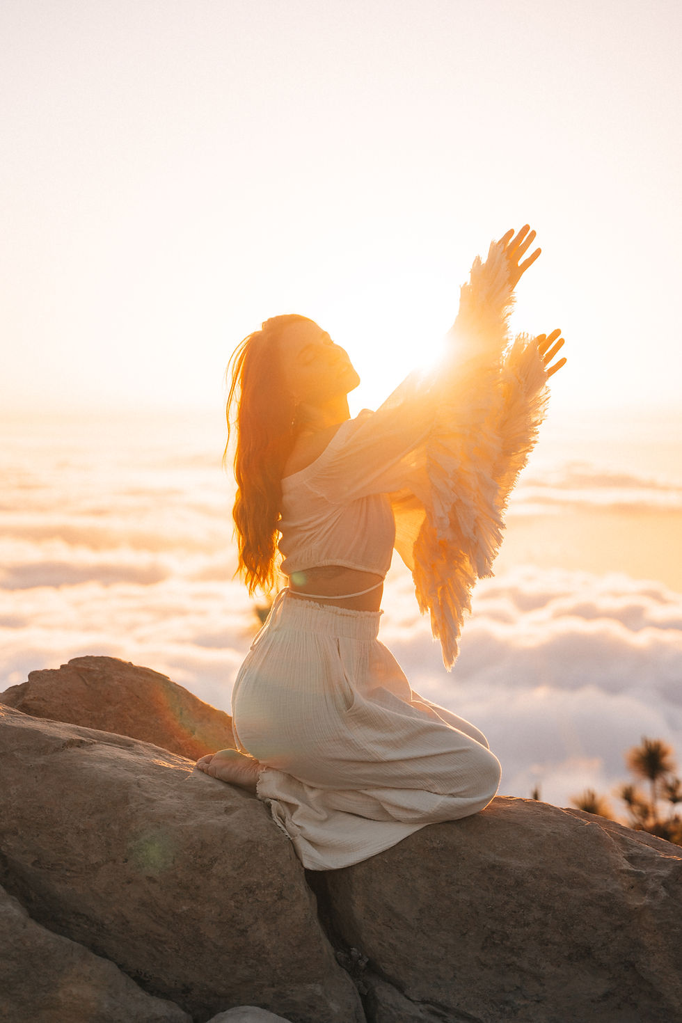 Thumbnail: Angel Wings Top - White 