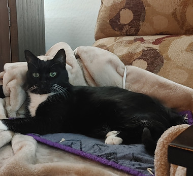 0214241923_HDR~2.jpg