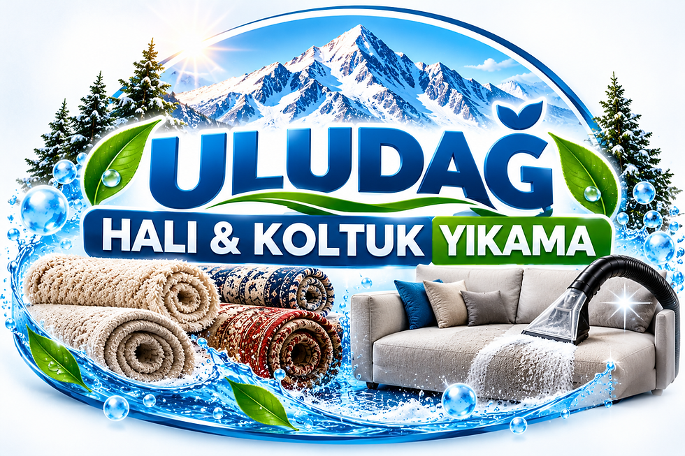 Uludağ Temizlik_ Halı ve Koltuk Bakımı.png