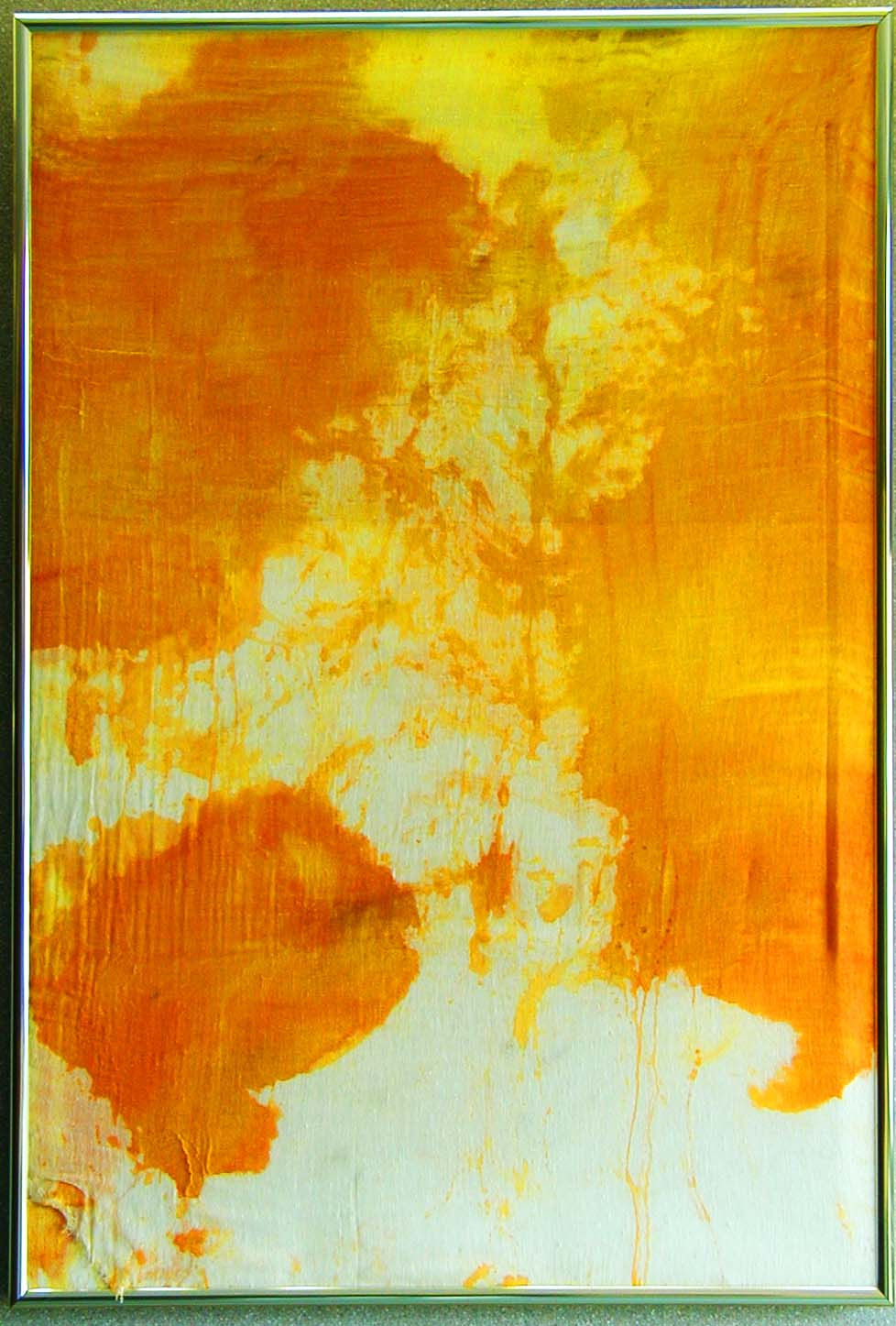 Dyehouse screen