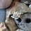 Thumbnail: Coastal Rocks Ring