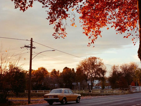 Autumn Retroactive Digital Cover | Vol.0