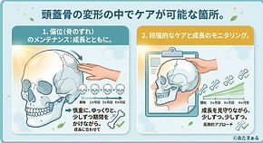 頭の形のメンテナンス｜頭蓋骨の特徴を利用したやり方を解説｜八王子市