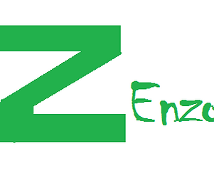 Zenzo logo.PNG