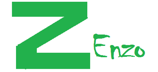 Zenzo logo.PNG