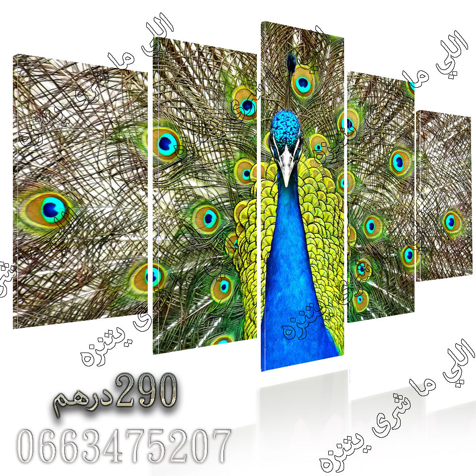 Thumbnail: tableaux 3D 5pies