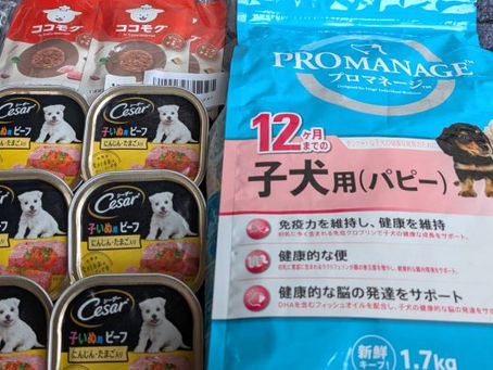 支援物資のお礼