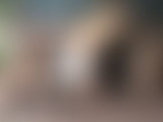 ポチ君の防寒小屋を作成しました