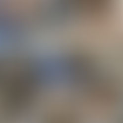 譲渡会のお礼と報告