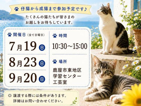 保護猫譲渡会のお知らせ