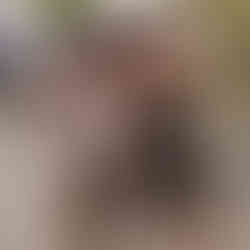 Brazil travel Rio Salvador toddBrazil travel Rio Salvador toddler itinerary ler itinerary