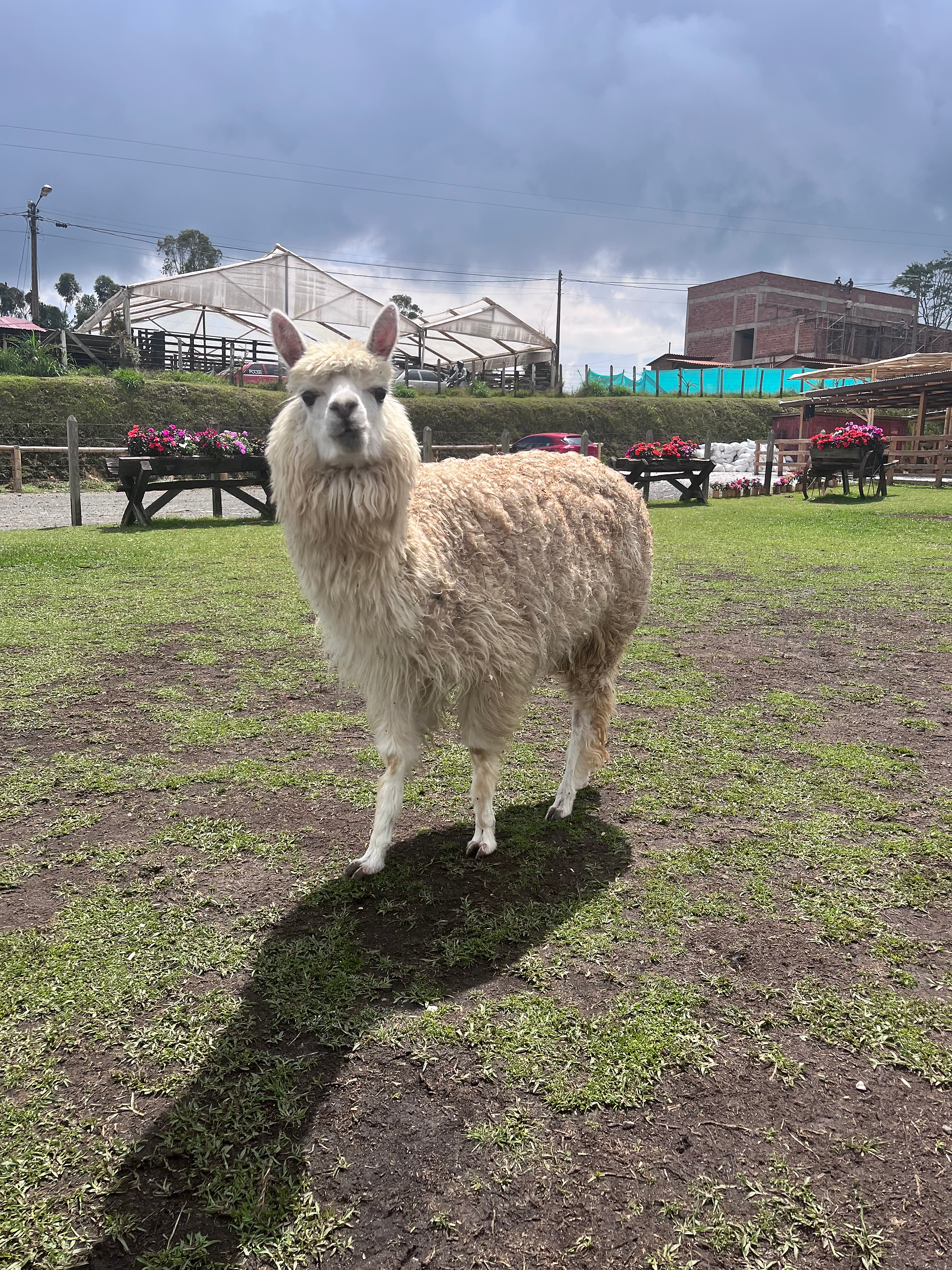 Guatape day trip with kids colombia
