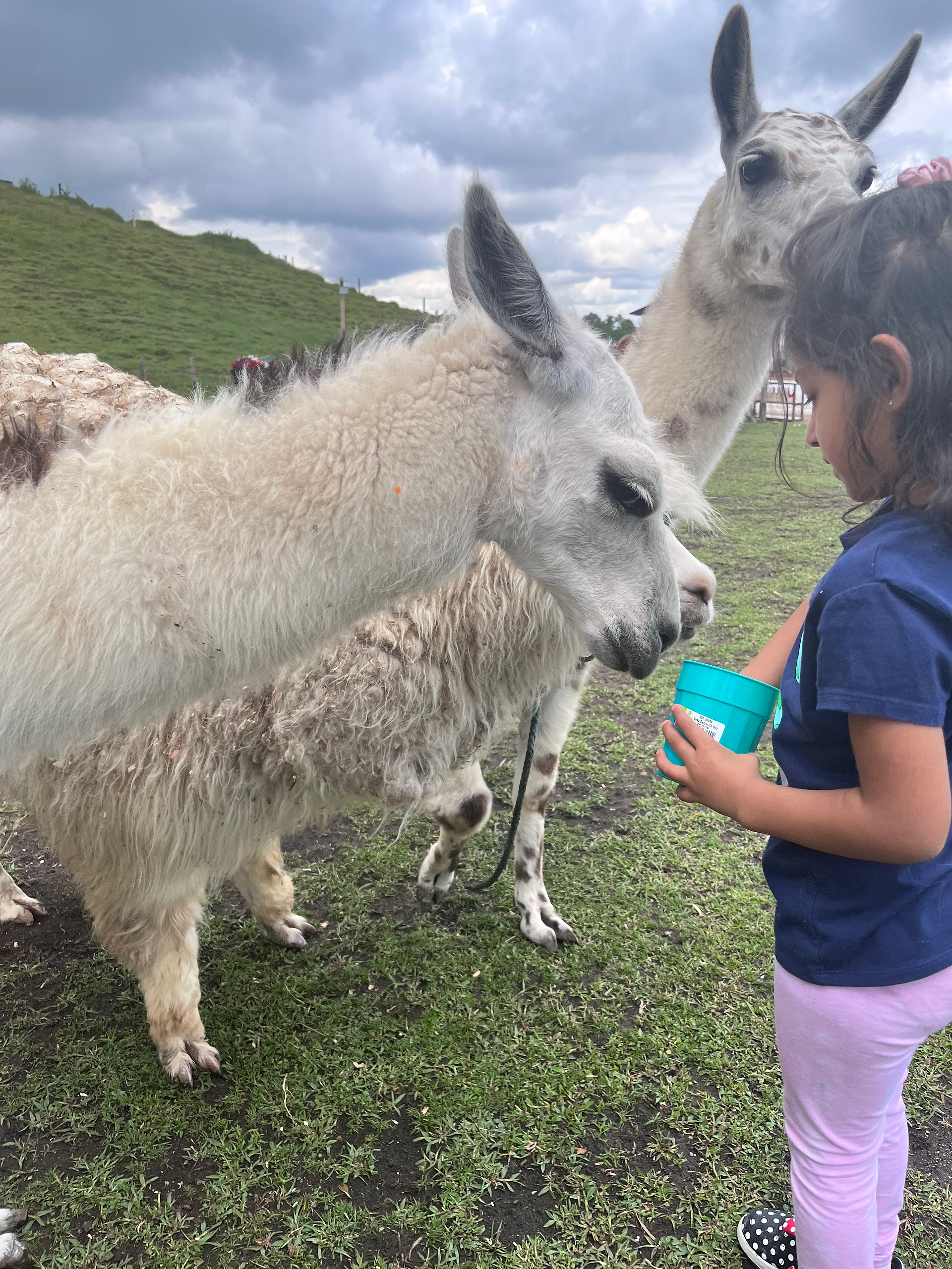 Guatape day trip with kids colombia