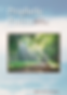 image-36.png