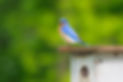 AdobeStock_41504396.jpeg
