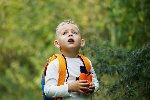AdobeStock_223579027.jpeg