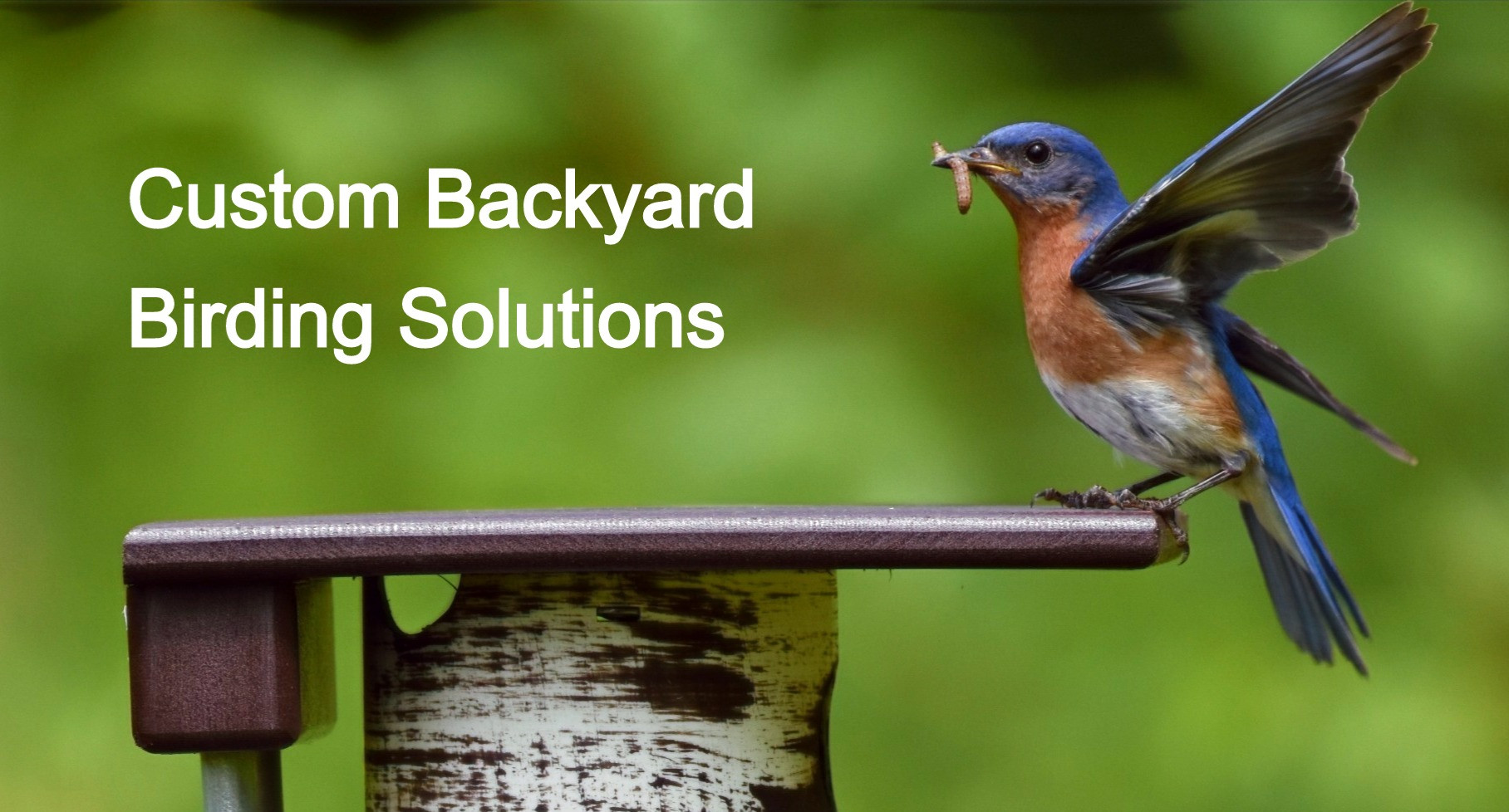 Residences Custom Backyard Birding Solutions Zionsville Indiana