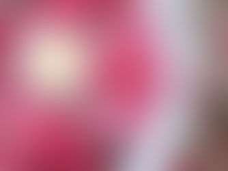 【2月2日更新】ご新規ゆいさん(仮名)から感想・アンケート回答いただきました！