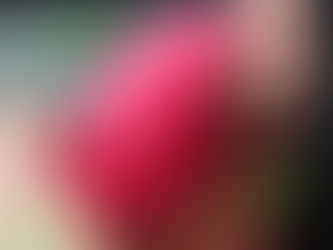 小鳥みたいな可愛いおもちゃ